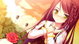 ���������꡼ No.021�Υ���ͥ������ / �֥��奬���ꥣ �����å��� -Limited-�ס���������饯����ã�Υ����꡼�󥷥�å���10�礬������