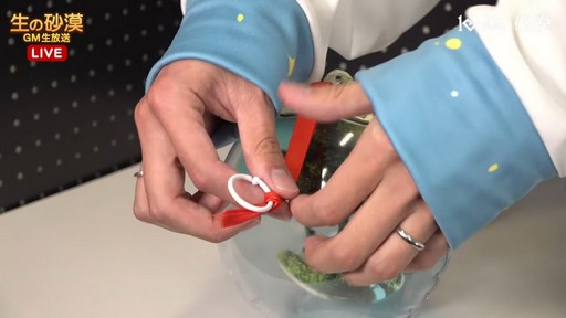 ���������꡼ No.013�Υ���ͥ������ / �ֹ��������פ�10��ǯ�˸�����̥�Ϥ���ħ��Ƴ�ǧ���褦��������ǥ󥦥������ˤ�TFT�ۡ��� 1000�ǥ��ե饤�󥤥٥�ȤⳫ��