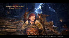 ���������꡼ No.015�Υ���ͥ������ / ��Dragon's Dogma: Dark Arisen�׹���������࿷���ʥ�󥹥���5�Τξ��󤬸����ˡ��������ߥ�˥ƥ������ȡ֥ݡ��󥳥ߥ�˥ƥ��פΥ�˥塼�����»�