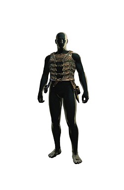 ���������꡼ No.003�Υ���ͥ������ / ��Dragon��s Dogma: Dark Arisen�׿������ɶ��ɲä����DLC���ۿ�����