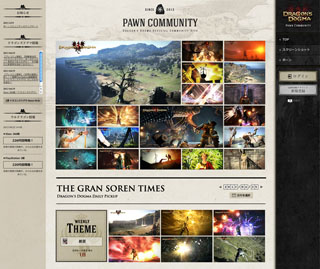 ���������꡼ No.002�Υ���ͥ������ / ��Dragon��s Dogma: Dark Arisen�ײƤθ����ݡ���פ꤬������