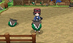 ���������꡼ No.056�Υ���ͥ������ / �����ʿʲ��֥ᥬ���󥫡פȤϲ������֥ݥ��åȥ�󥹥��� X�ס֥ݥ��åȥ�󥹥��� Y�פκǿ�����³������