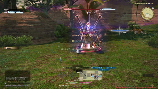 FFXIVǷΥեʡפδ¸17֤ѲǧѤäΤ