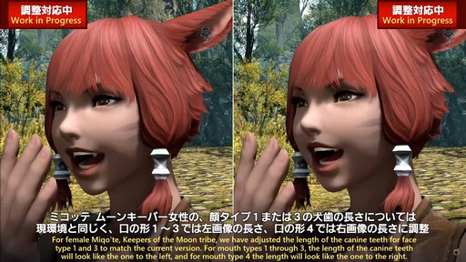 FFXIVΥ쥬פɲä뿷֤ξܺ٤¸֤ο󤬸줿֥ץǥ塼쥿LIVEפƤϤ