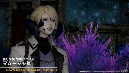 ꡼ No.009Υͥ / õȯŸ֥⥨ץ顼פʤɤοƥĤ줿85FFXIVץǥ塼쥿LIVEפƤϤ