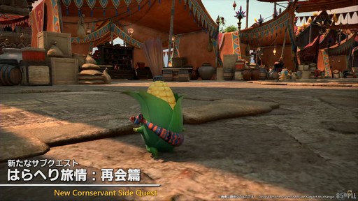 ꡼ No.013Υͥ / õȯŸ֥⥨ץ顼פʤɤοƥĤ줿85FFXIVץǥ塼쥿LIVEפƤϤ