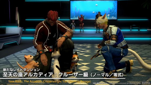 ꡼ No.023Υͥ / õȯŸ֥⥨ץ顼פʤɤοƥĤ줿85FFXIVץǥ塼쥿LIVEפƤϤ