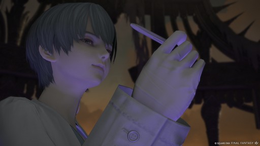 ꡼ No.030Υͥ / Υ󥿥ӥ塼ϡFFXIVפκǿåץǡȤ˸Ѳȿʲѥå7.3ؤƻɸɤˤĤƵľʹ