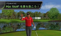 Tiger Woods PGA TOUR 12