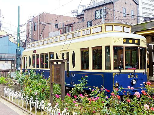 ���������꡼ No.002�Υ���ͥ������ / ��������з�����ס����Ź������ǡ֤ᤤ������֡פ����ԡ����̤ʼ��⹭���