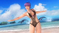 DEAD OR ALIVE 5 UltimateסPS3Ǹ̵ȥ륢åץǡȡVer.1.04פۿͭDLC֥ȥԥ륻塼פʤɤо