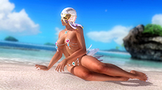 DEAD OR ALIVE 5 UltimateסPS3Ǹ̵ȥ륢åץǡȡVer.1.04פۿͭDLC֥ȥԥ륻塼פʤɤо