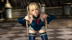 DEAD OR ALIVE 5 Ultimateפǿ֥ޥ꡼פۿ