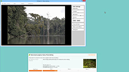 ���������꡼ No.006�Υ���ͥ������ / PC����٥���ޡ�����PCMark 8�פθĿͥ桼�����Ѥ������ˡ�4Gamer��̵���ǤΥߥ顼����