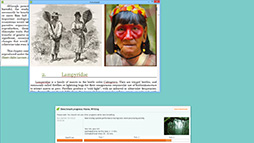 ���������꡼ No.012�Υ���ͥ������ / PC����٥���ޡ�����PCMark 8�פθĿͥ桼�����Ѥ������ˡ�4Gamer��̵���ǤΥߥ顼����