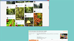 ���������꡼ No.014�Υ���ͥ������ / PC����٥���ޡ�����PCMark 8�פθĿͥ桼�����Ѥ������ˡ�4Gamer��̵���ǤΥߥ顼����