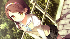 ���������꡼ No.009�Υ���ͥ������ / PSP���������ɥ٥���㡼��your diary �ʲ���ˡפ�2013ǯ����ȯ����ꡣPC�ǤΥ��֥���饯����2̾���ҥ�����˾��ʤ�����ά����ǽ��