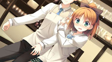 ���������꡼ No.011�Υ���ͥ������ / PSP���������ɥ٥���㡼��your diary �ʲ���ˡפ�2013ǯ����ȯ����ꡣPC�ǤΥ��֥���饯����2̾���ҥ�����˾��ʤ�����ά����ǽ��