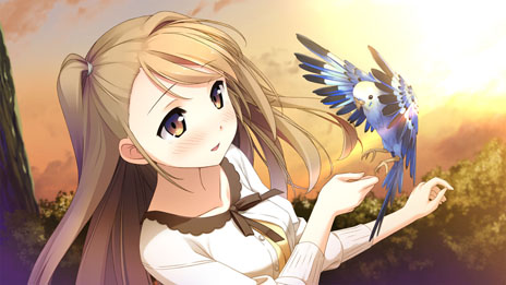 ���������꡼ No.002�Υ���ͥ������ / PSP������ADV��your diary�ʲ���ˡפ����������ȥ뤬��your diary+�פ˷��ꡣPSP�Ǥο��ҥ�����ְ�����ۤȤ�פξ���������