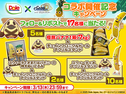 ���������꡼ No.008�Υ���ͥ������ / �֥����󥯥��ס���SSR����Ϥ��˲���� ����å��פ��о줹��ե����򳫻�