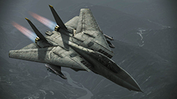 ACE COMBAT INFINITYסŨϾߡ֥ȡإ󥸡סо