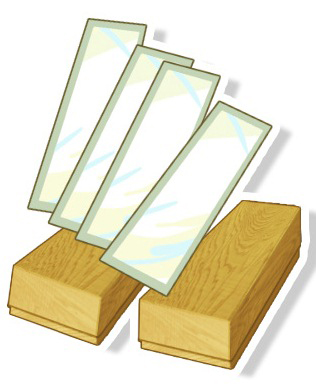 ���������꡼ No.010�Υ���ͥ������ / ��project 575�פ��ܳʻ�ư����1�ƤȤʤ�iOS���ץ�֤����Ӥ�575�פλ�����Ͽ���դ򳫻ϡ��ޡ������޷����θ��դ򥭥��ã�β����ˤΤ���ȯ�����뿷����ͷ��