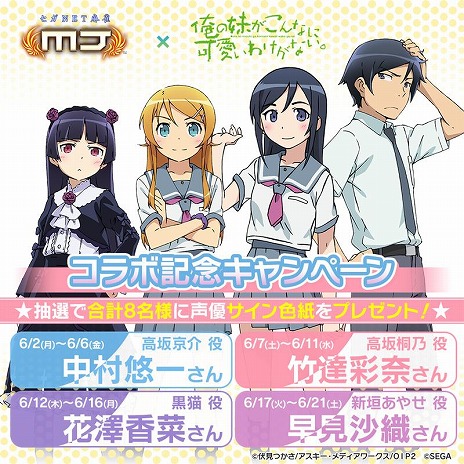 ꡼ No.016Υͥ / ֥NET MJץ꡼TV˥ֲ夬ʤ˲İ櫓ʤץܥ٥Ȥ