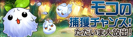 ���������꡼ No.004�Υ���ͥ������ / �֥��祳�ʥ��ȡס��ȡ���BOX��Ψ���åס���������̥��åץ��٥��