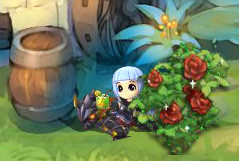 ���������꡼ No.011�Υ���ͥ������ / �֥��祳�ʥ��ȡס��͵��ڥåȤ����ä��֥ڥå�BOX(6)�פκ��Τ򳫻�