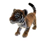 Zoo Tycoon̵θǤ䥢Хƥ312ۿθǤץ쥤ưʪãȤΤդ줢бĤؤܤ