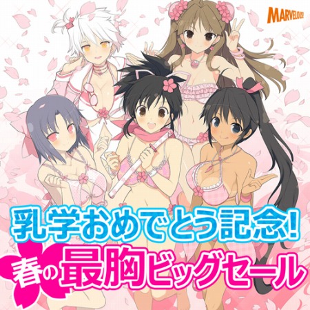 ���������꡼ No.003�Υ���ͥ������ / �����𥫥��� ESTIVAL VERSUS �����Ԥ�DLC����������ʤǹ����Ǥ��륭���ڡ����»�