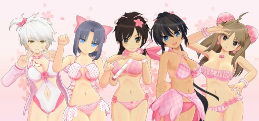 ���������꡼ No.016�Υ���ͥ������ / �����𥫥��� ESTIVAL VERSUS -����ã������- �� EDITION�פ�����ȯ��