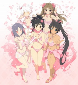 ���������꡼ No.017�Υ���ͥ������ / �����𥫥��� ESTIVAL VERSUS -����ã������- �� EDITION�פ�����ȯ��