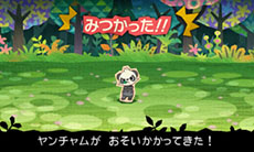 ������#008�Υ���ͥ���/�֤Ȥ�������1000�Ӥ��Υݥ����ס��������ή��乶ά�˴ؤ��륢�ɥХ����ʤɡ����������Ҳ�