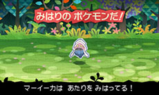 ������#009�Υ���ͥ���/�֤Ȥ�������1000�Ӥ��Υݥ����ס��������ή��乶ά�˴ؤ��륢�ɥХ����ʤɡ����������Ҳ�