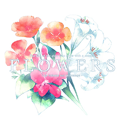 ־ƱΤͧפơޤ˿ɴϥߥƥ꡼ADVFLOWERSפPS Vita/PSP109ȯ