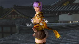 DEAD OR ALIVE 5 Last Round̵ФΥ饯ˤʤ꤭륳ܥ塼ۿ