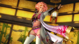 DEAD OR ALIVE 5 Last Round̵ФΥ饯ˤʤ꤭륳ܥ塼ۿ