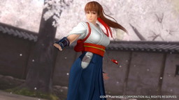 β 񤬡DEAD OR ALIVE 5 Last Roundפ˻ߤ䤢ͤʤɤΡTHE KING OF FIGHTERSץܥ졼󥳥塼ۿ