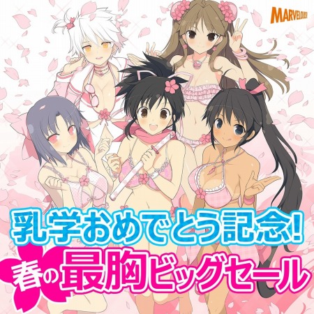 ���������꡼ No.001�Υ���ͥ������ / �����𥫥��� ESTIVAL VERSUS�ץ�����ޥ⡼�ɤΤǤ��򶥤��֤��ΰ�������פ����Ť�