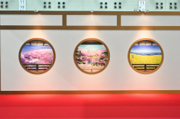 ꡼ No.017Υͥ / ܴݤǤ10ǯεפ򿶤֤롣ONLINEץӥ10ǯǰԻ ܴ 2025Ÿݡ