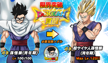  No.010Υͥ / ֥ɥ饴ܡZ ɥåХȥסW DOKKANեɤ˥ƥå¹ӡԥå(ǽϲ)о