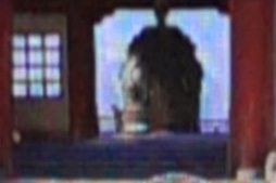 ���������꡼ No.044�Υ���ͥ������ / ��PR��I-O DATA��240Hzɽ���б��ǥ����ץ쥤��LCD-GC251UXB��Ű�측�ڡ���ĥ��ʥ����ޡ��˱�����®����¿��ǽ�������餫��