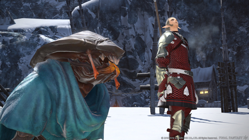 ���������꡼ No.018�Υ���ͥ������ / �ڿͤ��ä��ƺ��٤ϥ��쥭��������κ��Ӥء���FFXIV����ŷ�Υ����奬��ɡפΥѥå�3.2����ľ��������ľ���ᥤ�󥿥ӥ塼