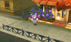 ���������꡼ No.025�Υ���ͥ������ / �ֿ��������ʤΥ��ȥꥨ �Ϥ��ޤ��ʪ��׺ǿ��������ԥ��ꥢ���ͷ�٤�ֱ�Ĺ��פΥ��ȡ��꡼��ǥե���ᤵ�줿�������塼������