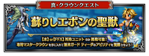 FFBEס7.5ǯǰƿʸùΥ˥åȡȵɡζ塼ɡȼͥåɤ422000˼