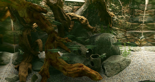 画像ギャラリー No.017のサムネイル画像 / ハロー!Steam広場 第247回:ドラッグ&ドロップで水槽を立ち上げられるシミュレーションゲーム「Biotope」。水質管理は割とガチめ