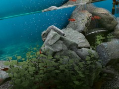 �ϥ�����Steam���� ��247�󡧥ɥ�å����ɥ��åפǿ����Ω���夲���륷�ߥ�졼����󥲡����Biotope�ס���������ϳ�ȥ�����