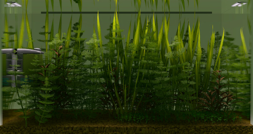 画像ギャラリー No.020のサムネイル画像 / ハロー!Steam広場 第247回:ドラッグ&ドロップで水槽を立ち上げられるシミュレーションゲーム「Biotope」。水質管理は割とガチめ