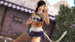 DEAD OR ALIVE 5 Last Roundסץ饹ܥ塼ۿ